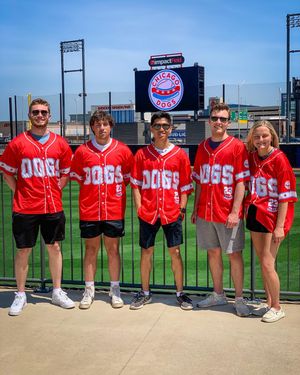 Image post by @thechicagodogs on Instagram