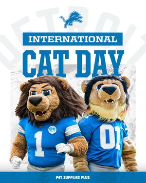 Image post by @detroitlionsnfl on Instagram