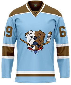Image post by @verberohockey on Twitter