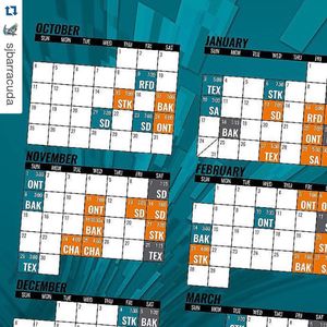Image post by @sanjosesharks on Instagram