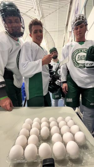 Video post by @fschockey on TikTok