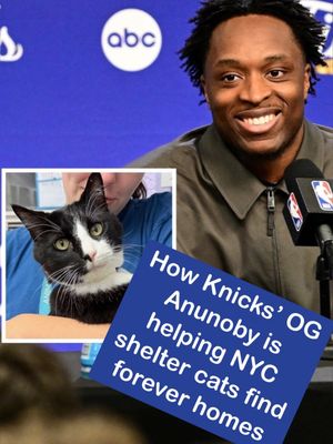 Image post by @nbcnewyork on Instagram