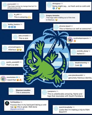 Image post by @gopbcardinals on Instagram