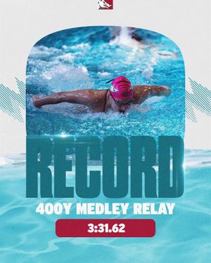 Image post by @razorbackswimdive on Instagram