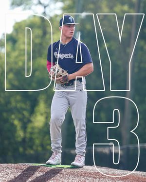 Image post by @psbaseball on Instagram