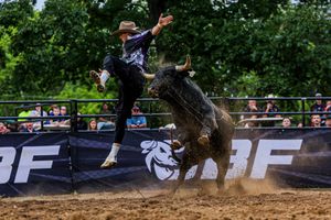 Image post by @ultimatebullfighters on Instagram