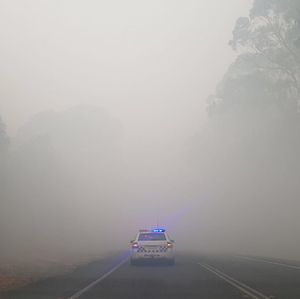 Image post by @victoriapolice on Instagram
