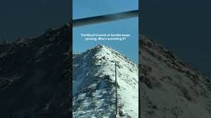 Video post by @bostonwithemily on YouTube
