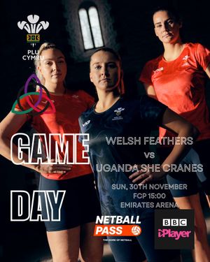 Image post by @walesnetball_ on Instagram