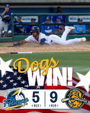 Image post by @chasriverdogs on Instagram