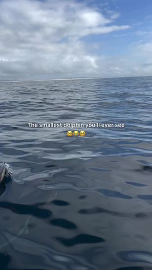 Video post by @complex on TikTok
