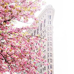 Image post by @kaibree on Instagram