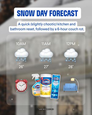 Image post by @clorox on Instagram
