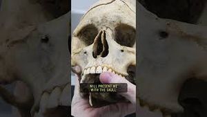 Video post by @60secdocs on YouTube