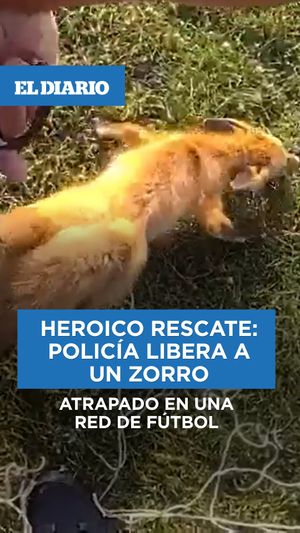 Image post by @eldiariony on Instagram