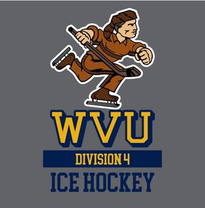 Image post by @wvuhockeyd4 on Instagram