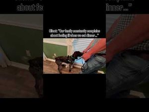 Video post by @topdogmold on YouTube