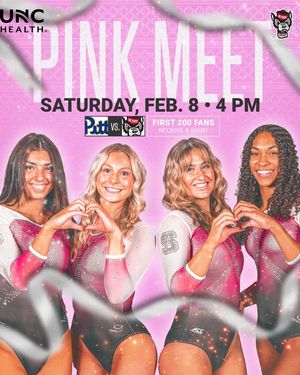 Image post by @PackGymnastics on Facebook