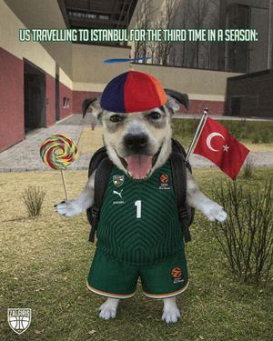Video post by @bczalgiris on TikTok