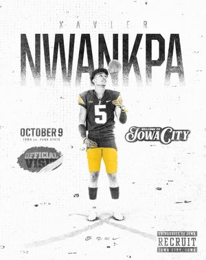 Image post by @xaviernwankpa01 on Twitter