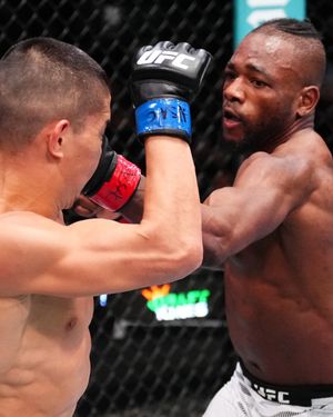 Image post by @ufc_brasil on Instagram