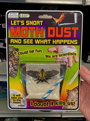 Image post by @obviousplant on Instagram