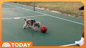 Video post by @today on YouTube