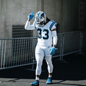 Image post by @panthers on Instagram