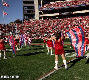 Image post by @ugaflagline on Instagram