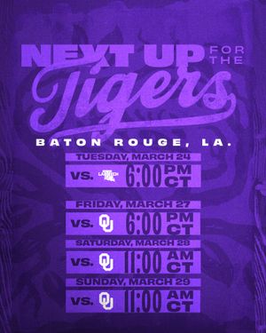 Image post by @lsusoftball on Instagram