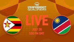 Video post by @fiba on YouTube