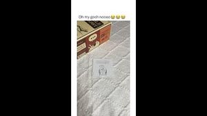 Video post by @explodingkittensinc on YouTube