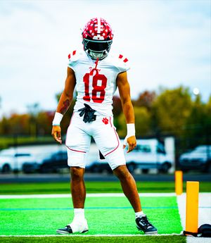 Image post by @bentenuta on Instagram