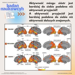 Image post by @neurochirurg_litak on Instagram