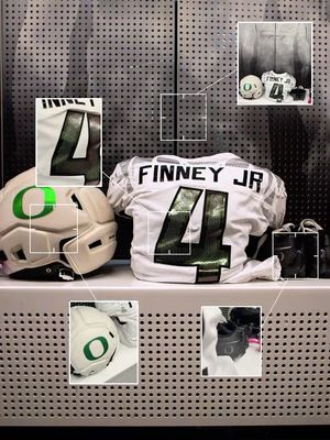 Image post by @goducks on Instagram