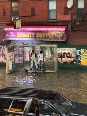 Image post by @whatisnewyork on Instagram