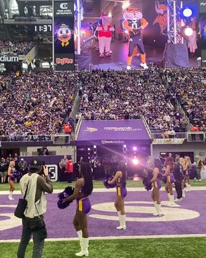 Image post by @goldythegopher on Instagram