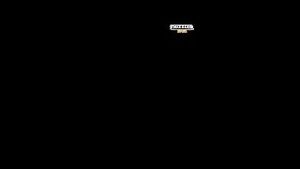 Video post by @thethizzler on YouTube