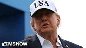 Video post by @msnbc on YouTube