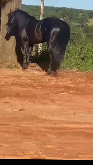 Video post by @joselonazarenopena on Facebook