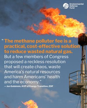 Image post by @environmental_defense_fund on Instagram