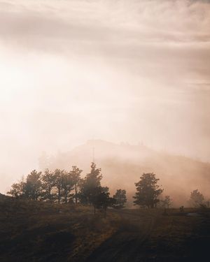 Image post by @chrislholder on Instagram