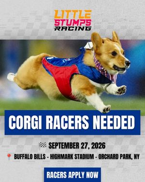 Image post by @littlestumpsracing1 on Facebook