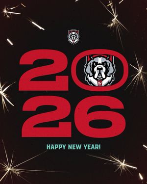 Image post by @dyouvillesaints on Instagram