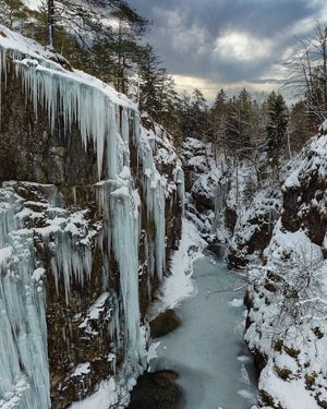 Image post by @cristan.nature.photography on Instagram