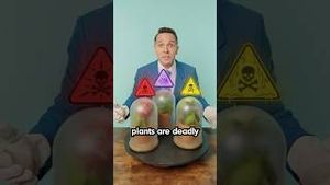 Video post by @lawbymike on YouTube