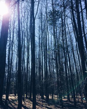 Image post by @ncstate on Instagram