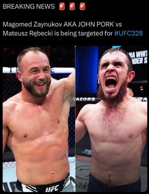 Image post by @prolondonmma on Instagram