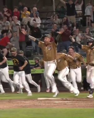 Image post by @altoonacurve on Instagram