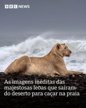 Image post by @bbcbrasil on Instagram